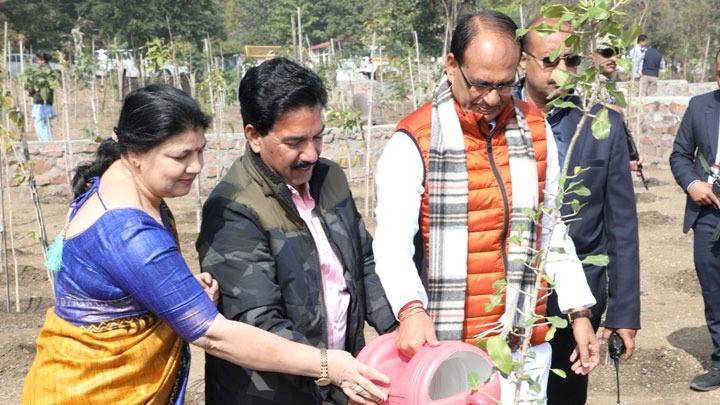 मुख्यमंत्री श्री चौहान ने किया पौध-रोपण